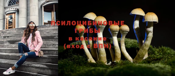 мет Горняк